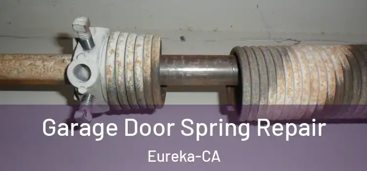 Garage Door Spring Repair Eureka-CA
